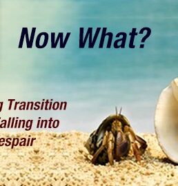 Now What? Managing Transition without Falling into a Pit of Despair (audio seminar & materials)